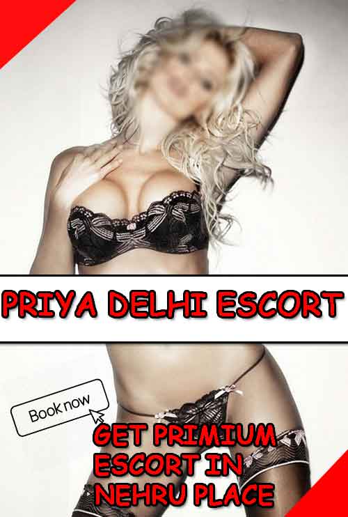 priya-delhi-nehru-place